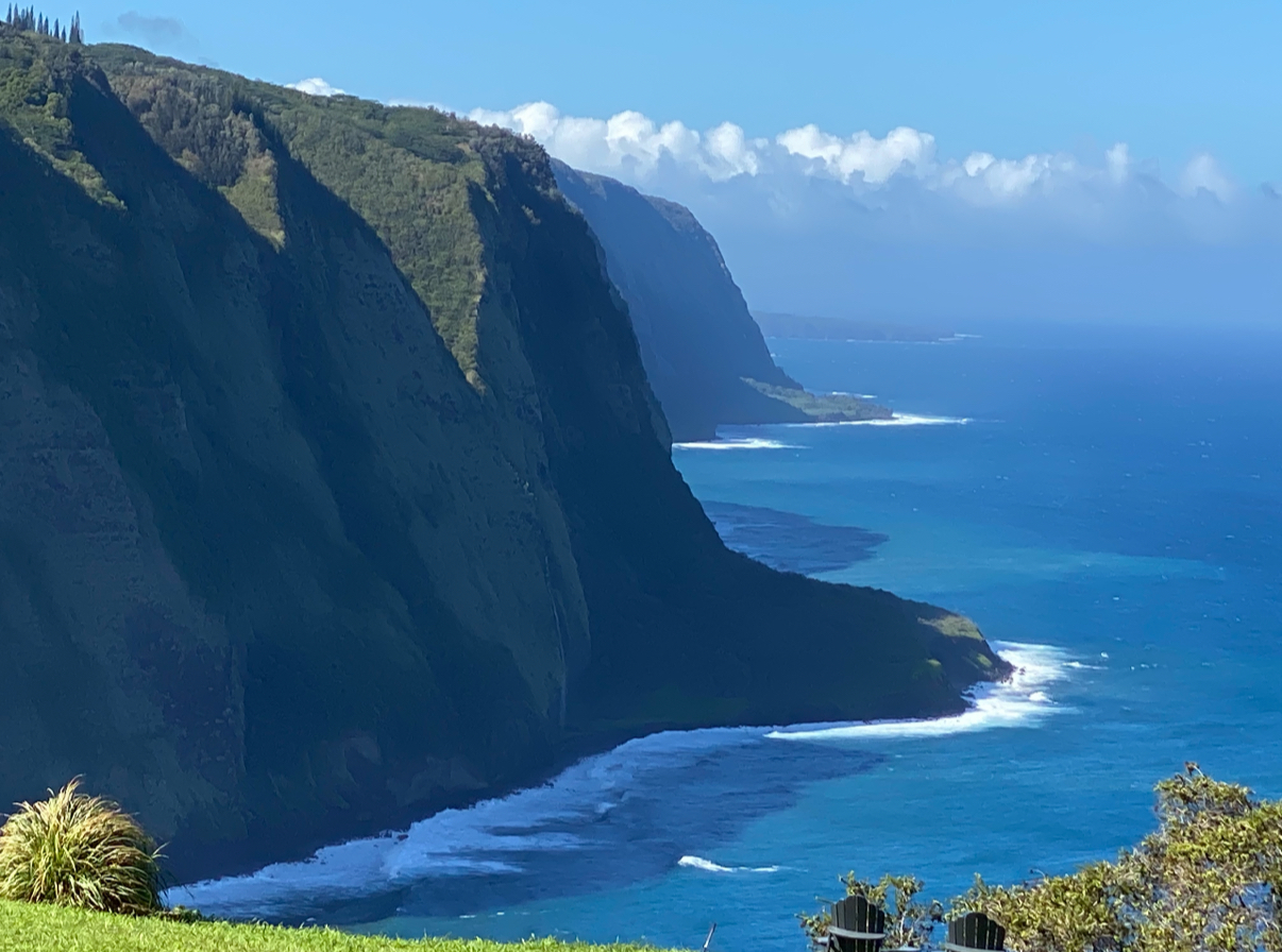 4 Bed 4 Bath House in Honokaa
