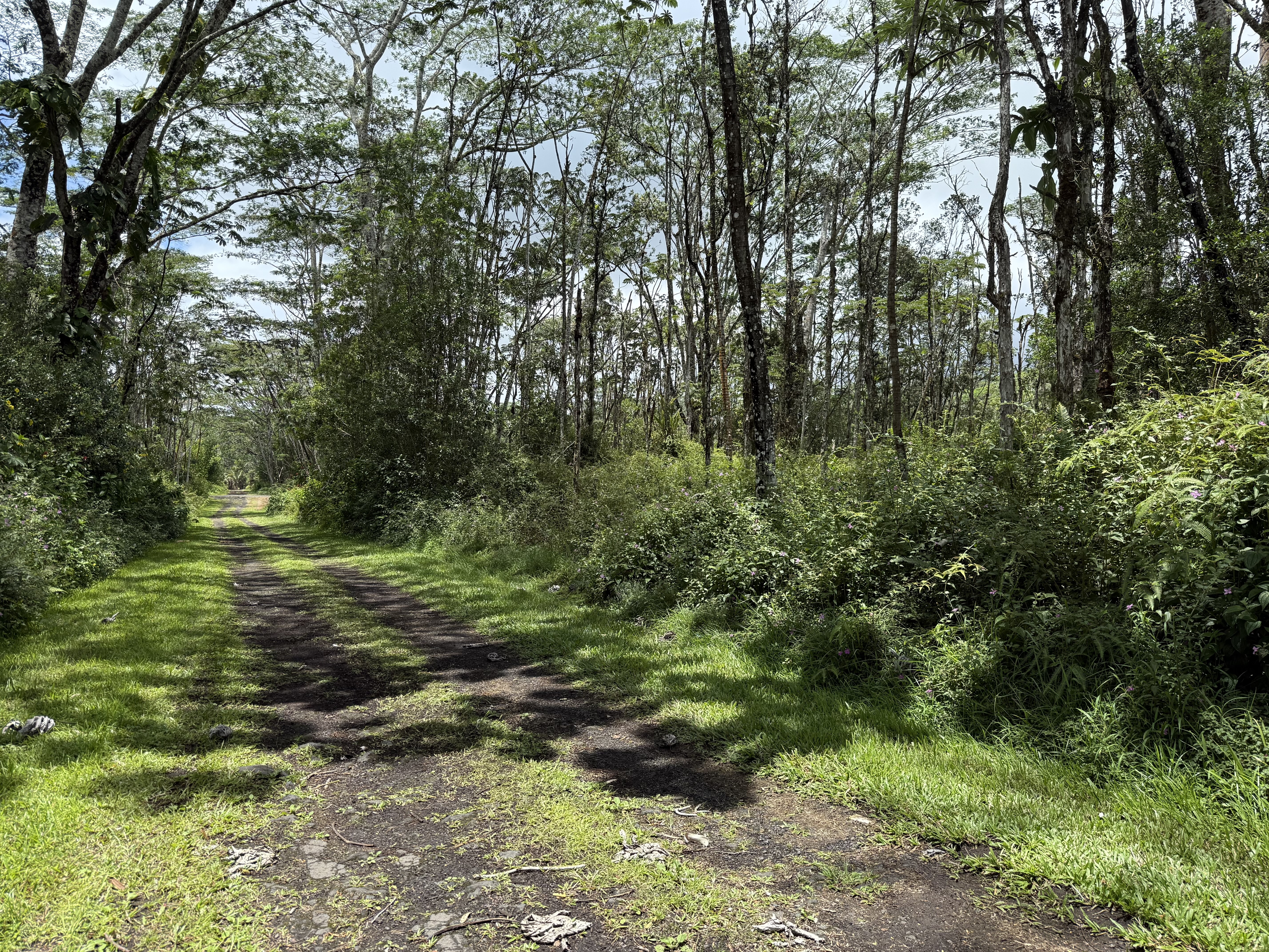 Land in Pahoa