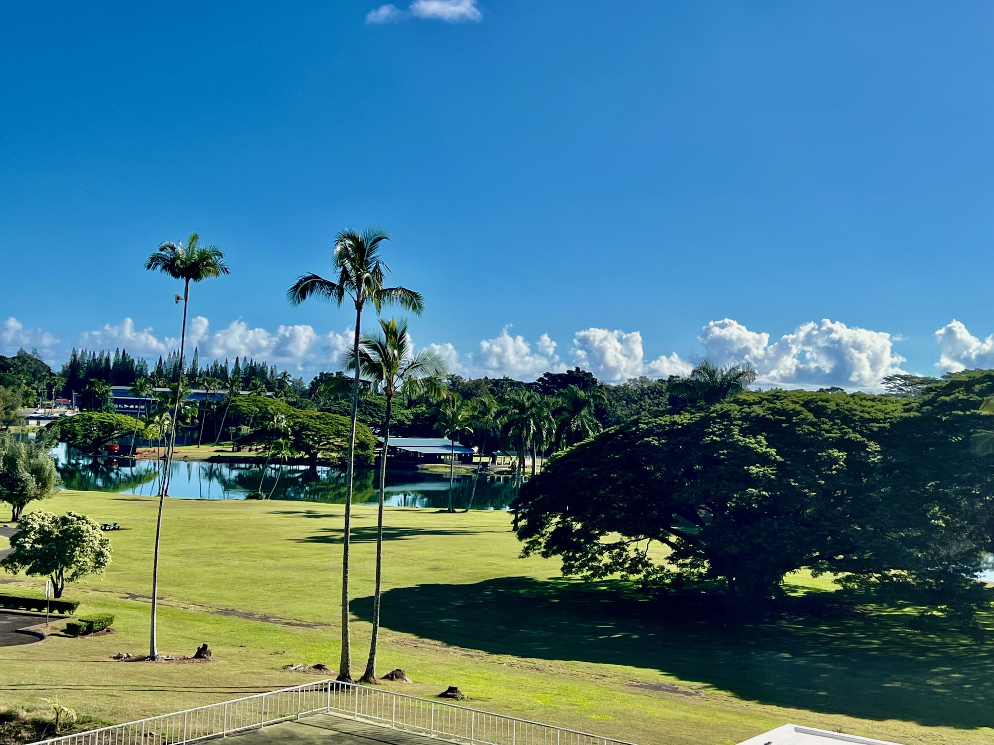 1 Bath Condo in Hilo