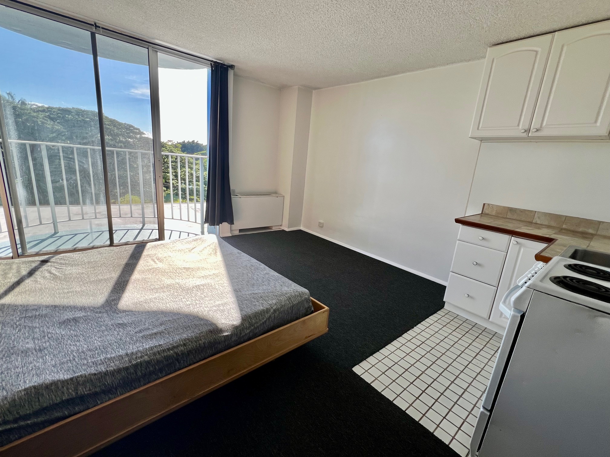 101 HILO LAGOON CENTRE Unit 512 - Photo 2