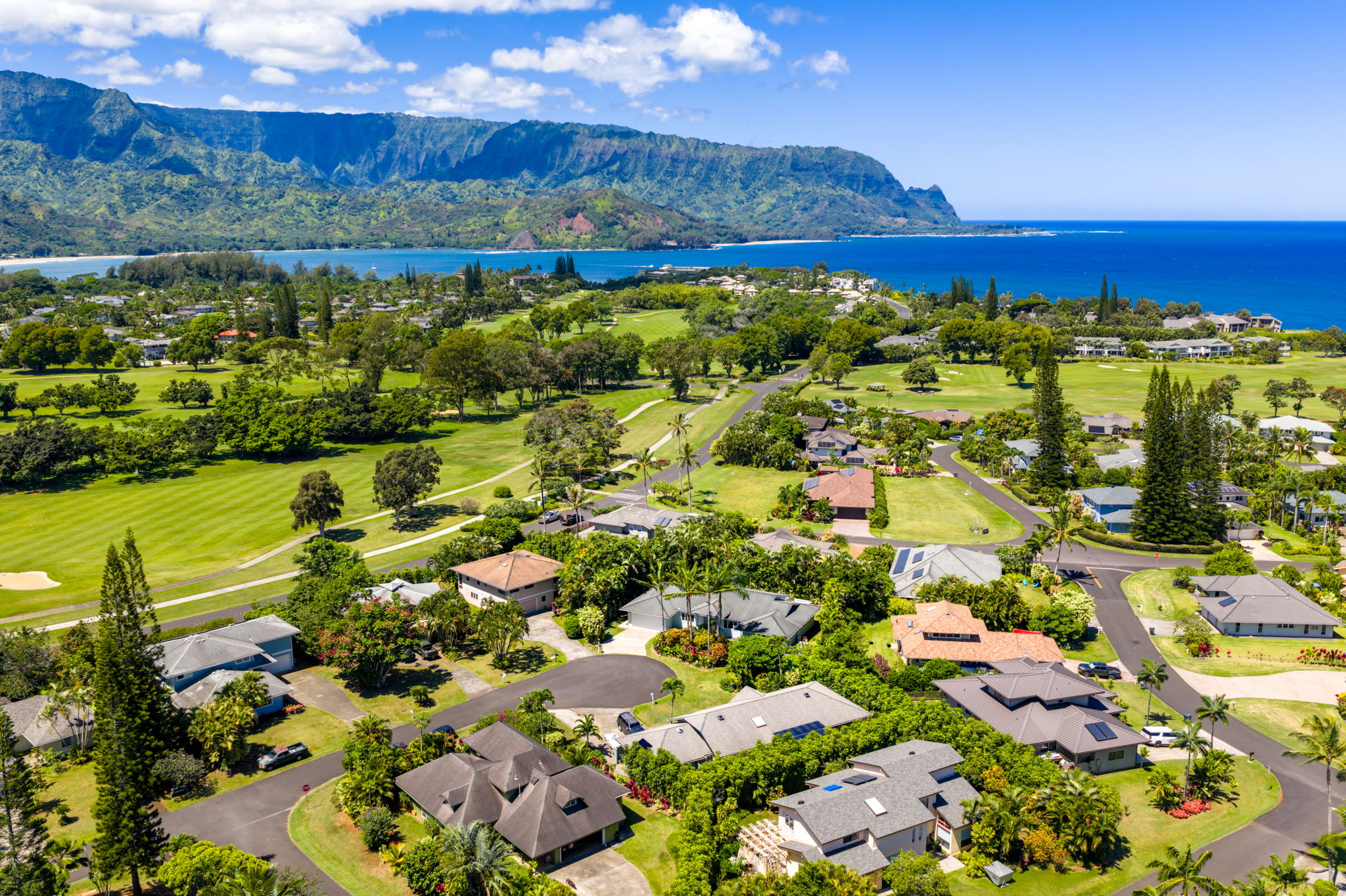 5145 IOLANI PL - Photo 5