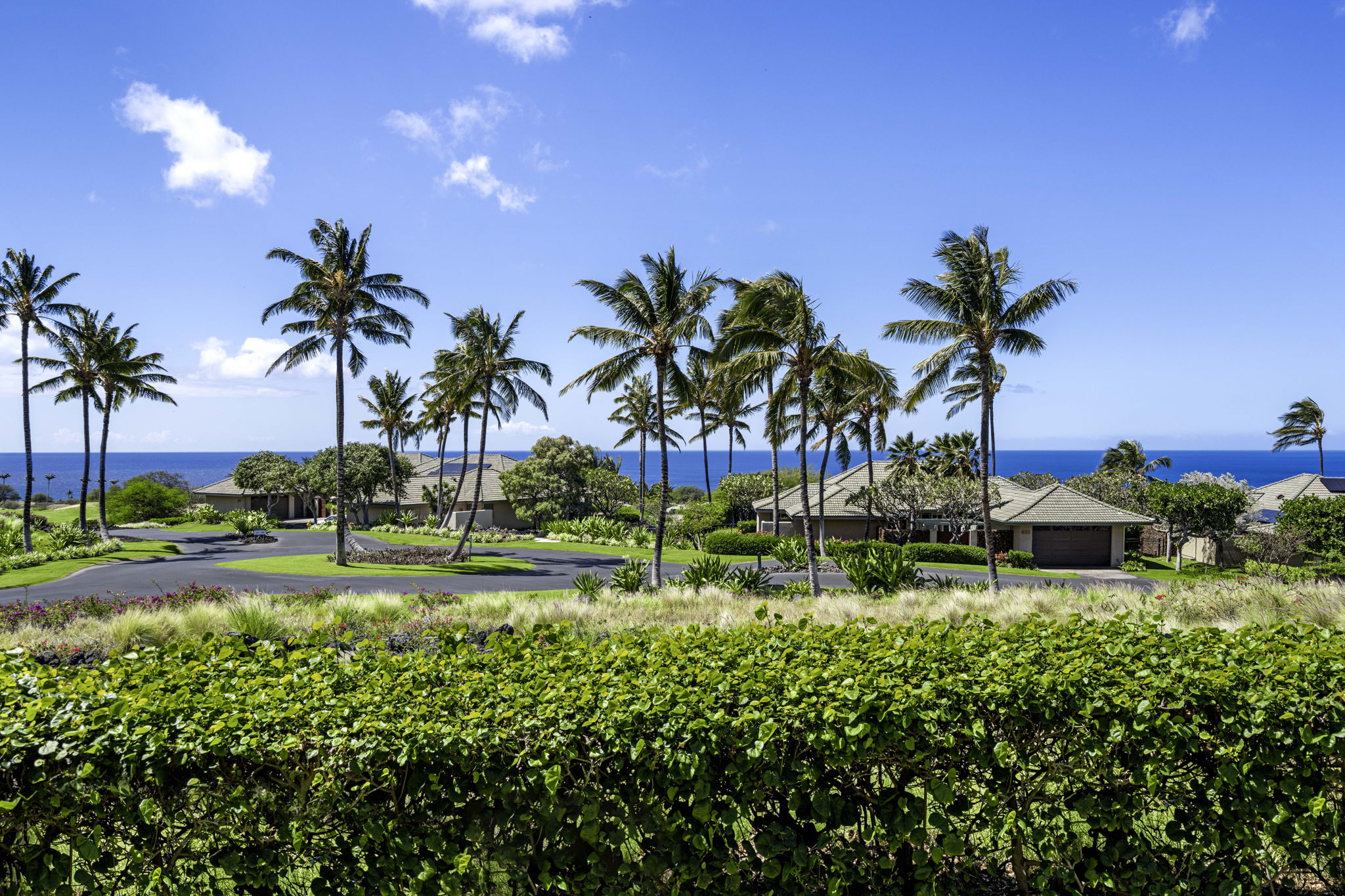 62-3600 AMAUI PL Unit F102 - Photo 4