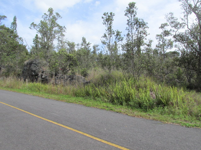 ORCHID PKWY - Photo 4
