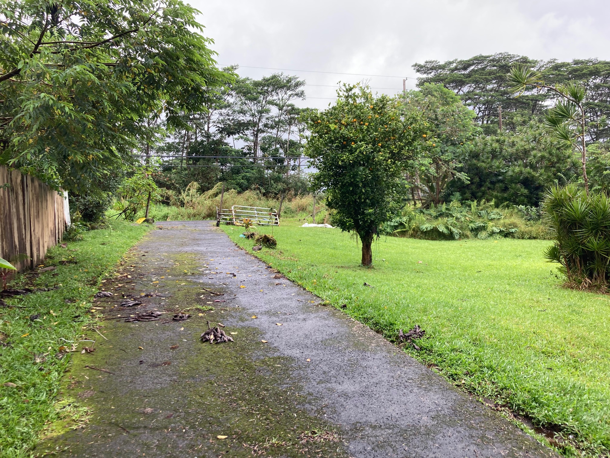 13-3515 PAHOA KALAPANA RD - Photo 3