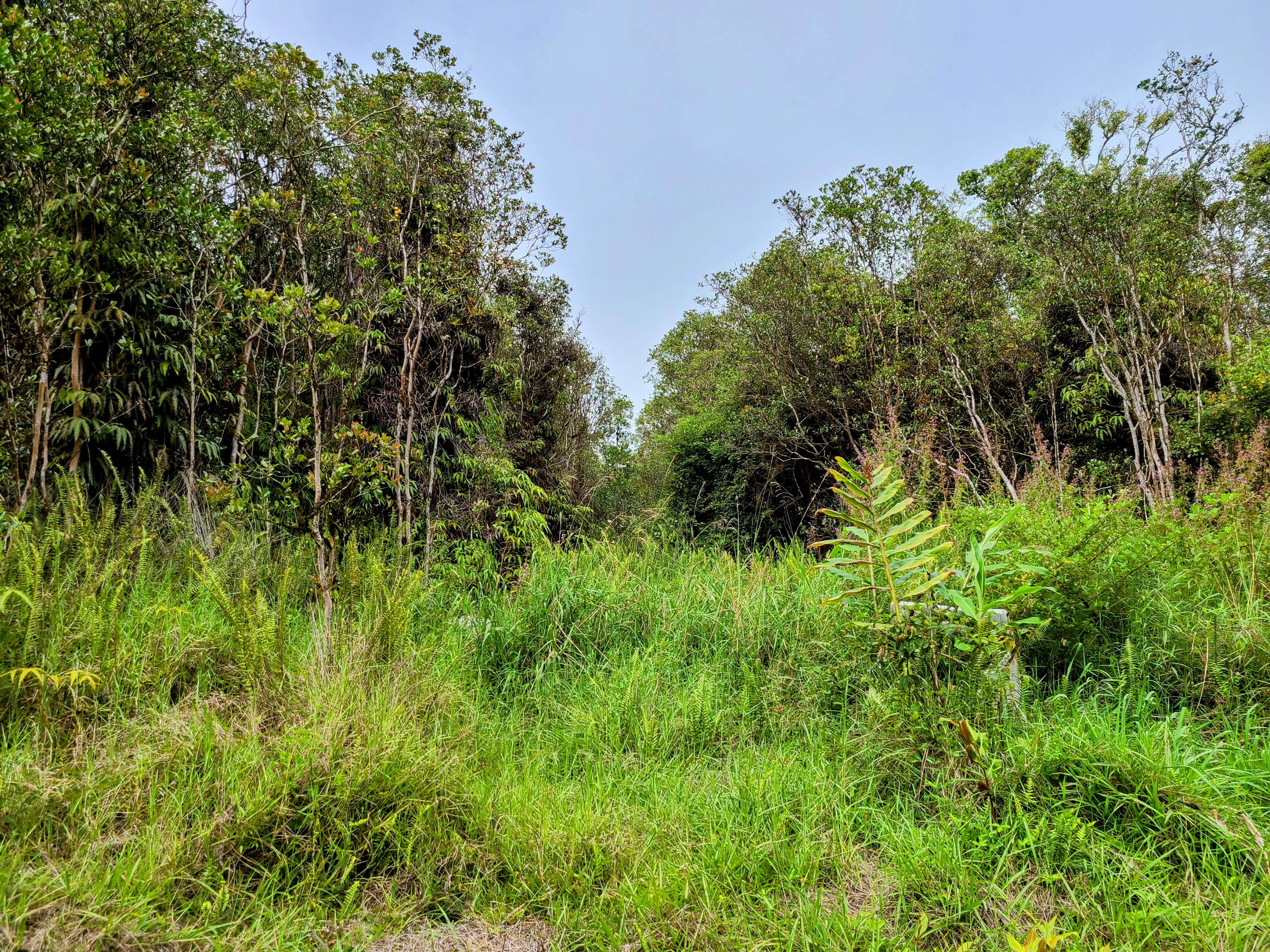 ROAD 7 - Photo 2