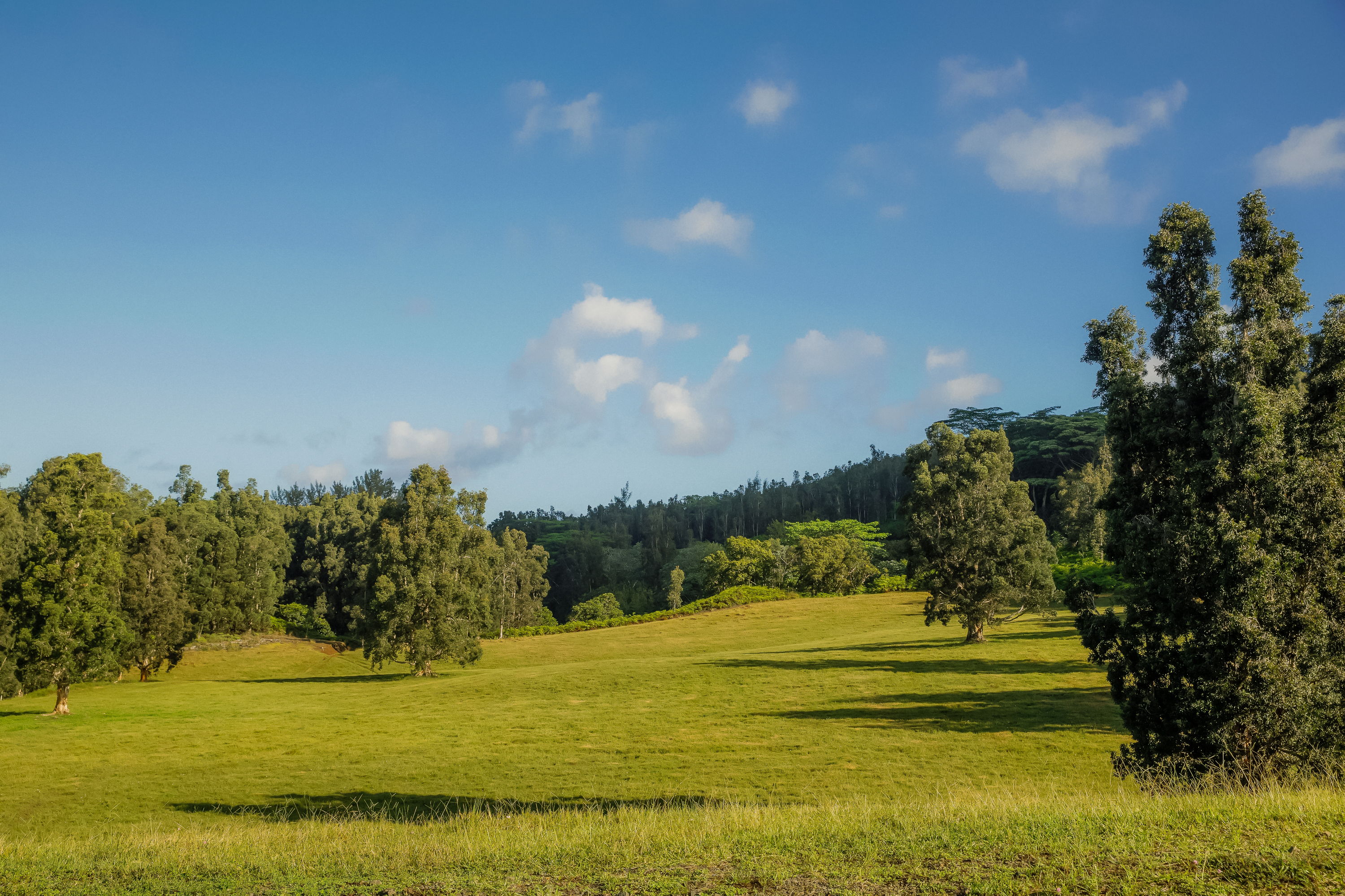 Land in Kilauea