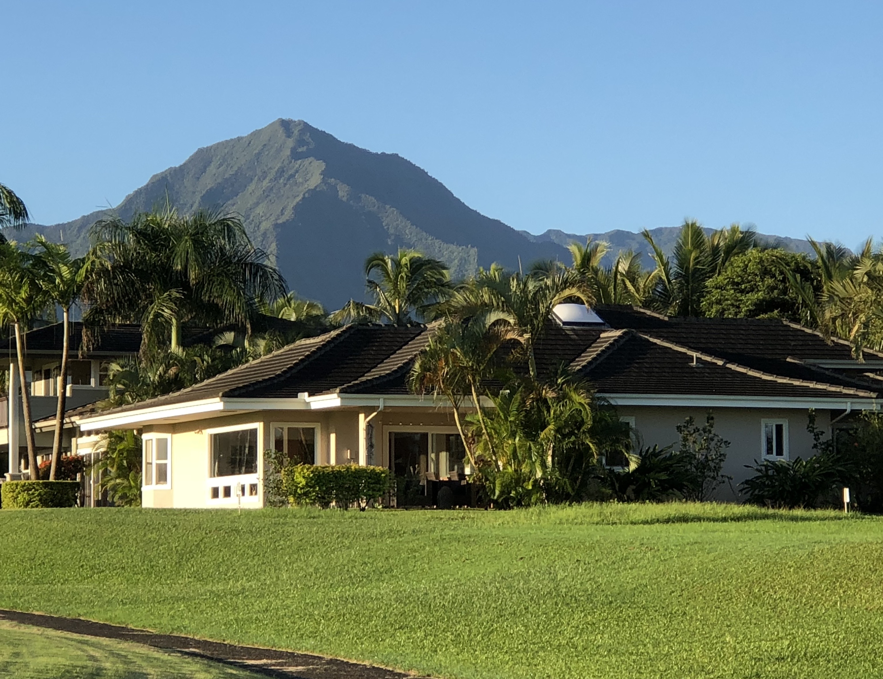 4083 ALOALII DR - Photo 3
