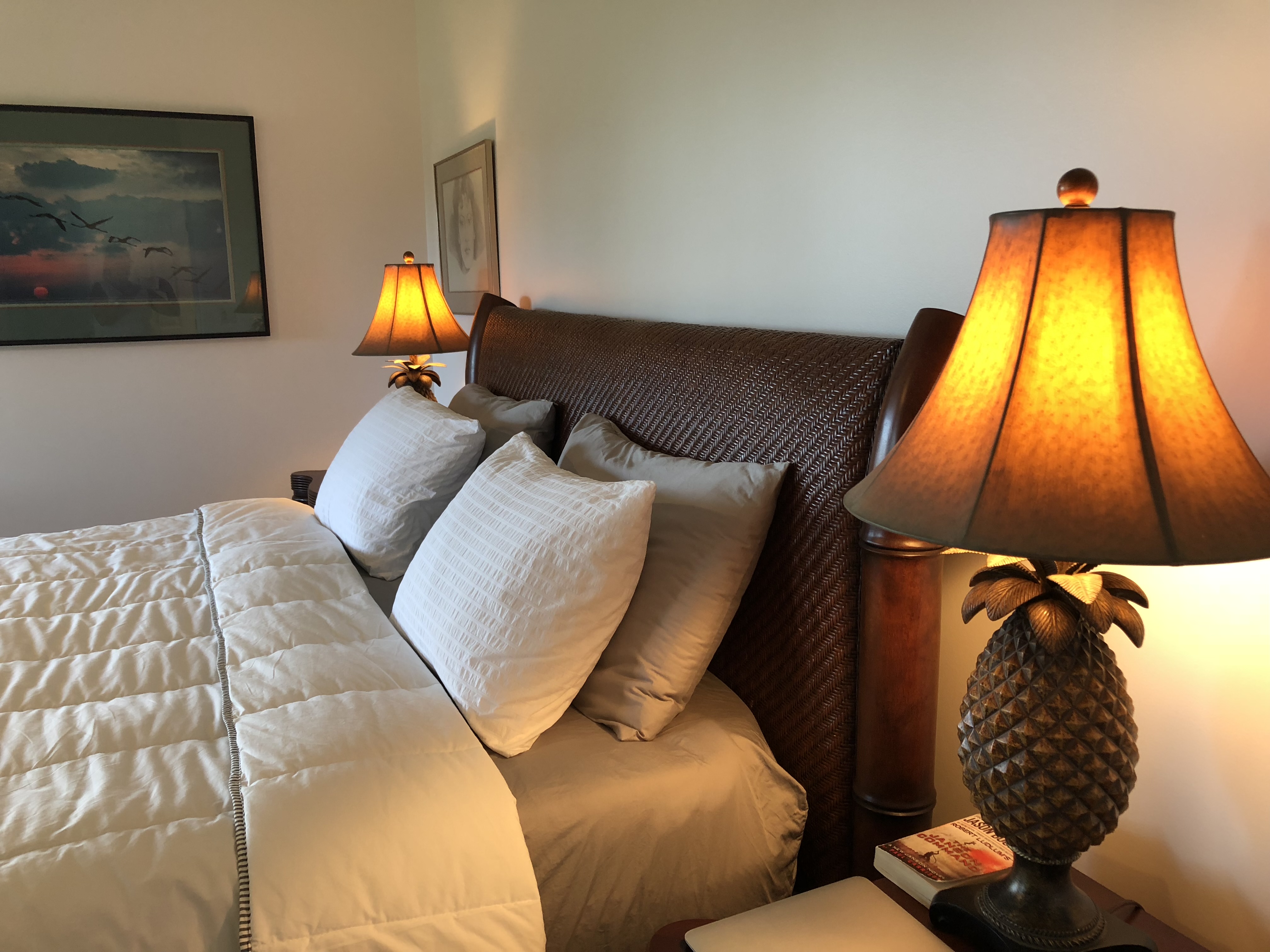 4083 ALOALII DR - Photo 2