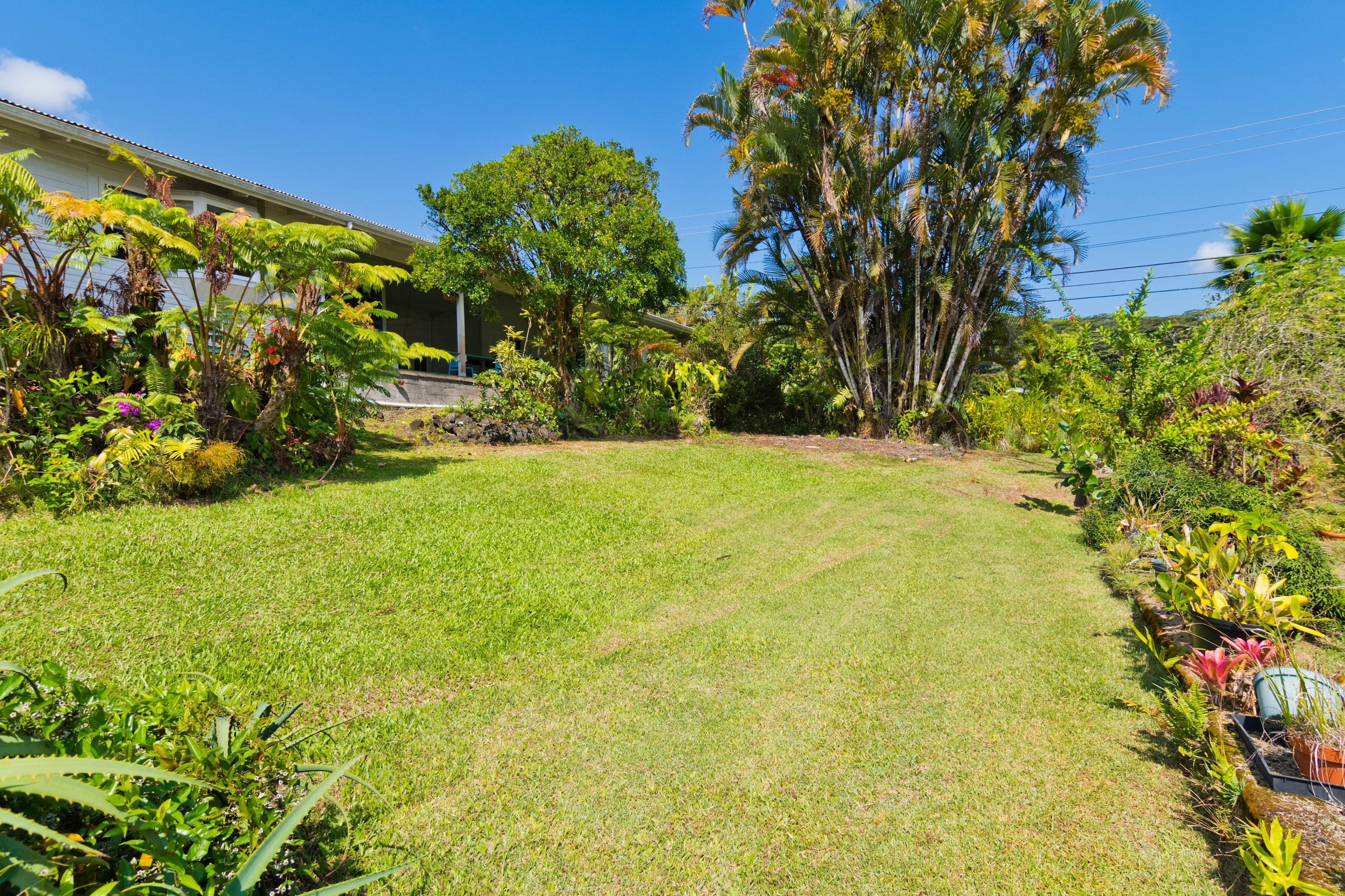 3 Bed 2 Bath House in Hilo