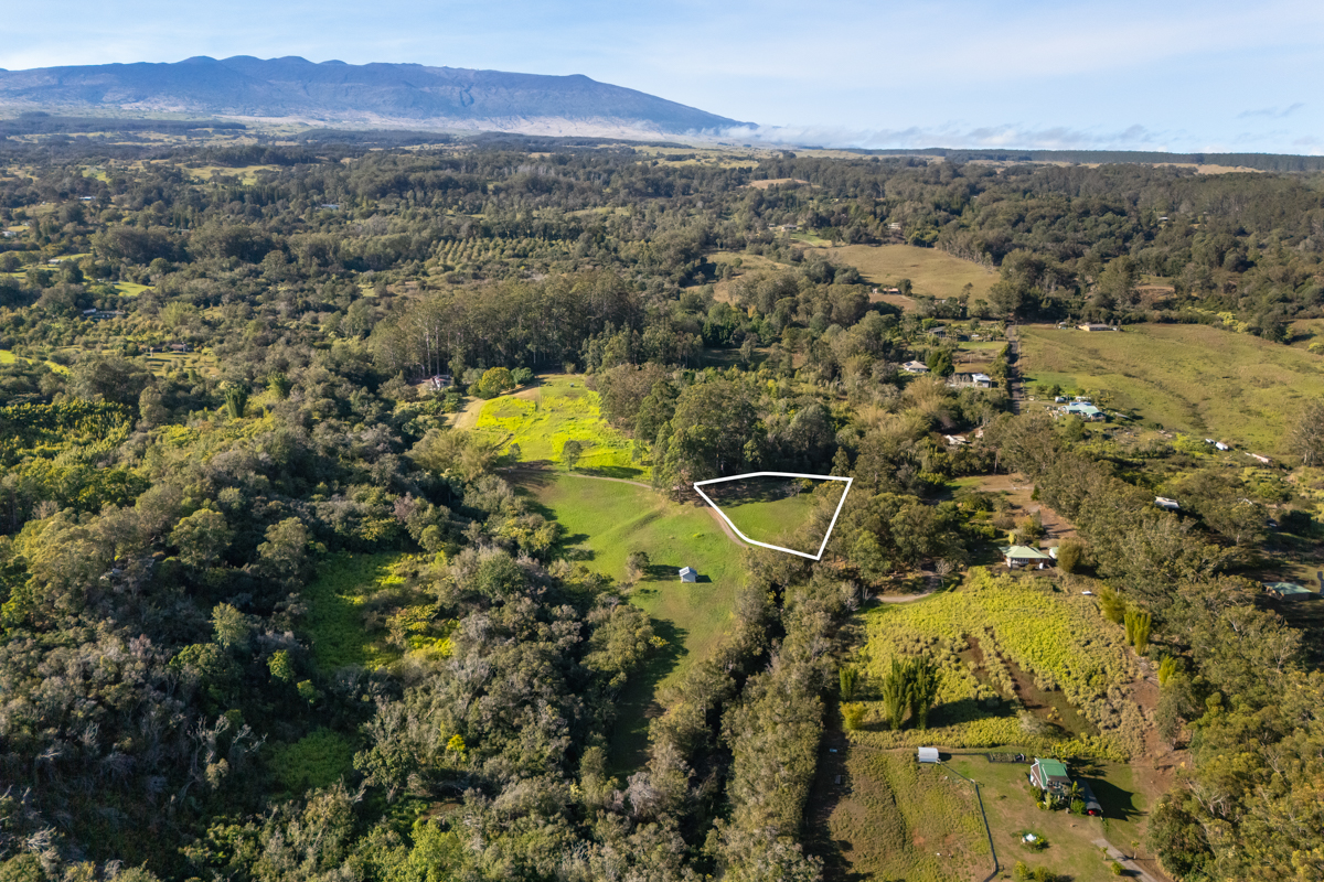 Land in Honokaa