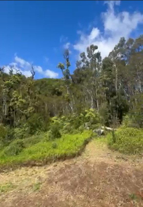32-640 PIHA KAHUKU RD - Photo 5