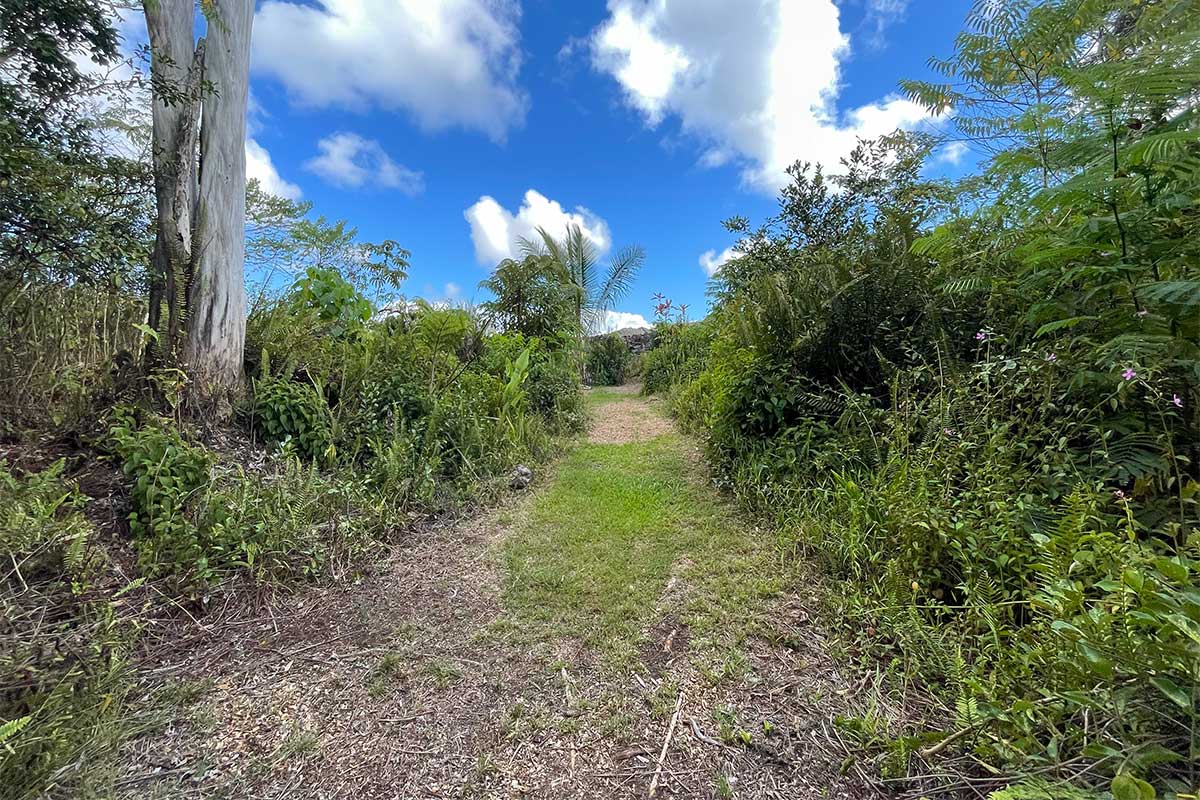 Land in Pahoa