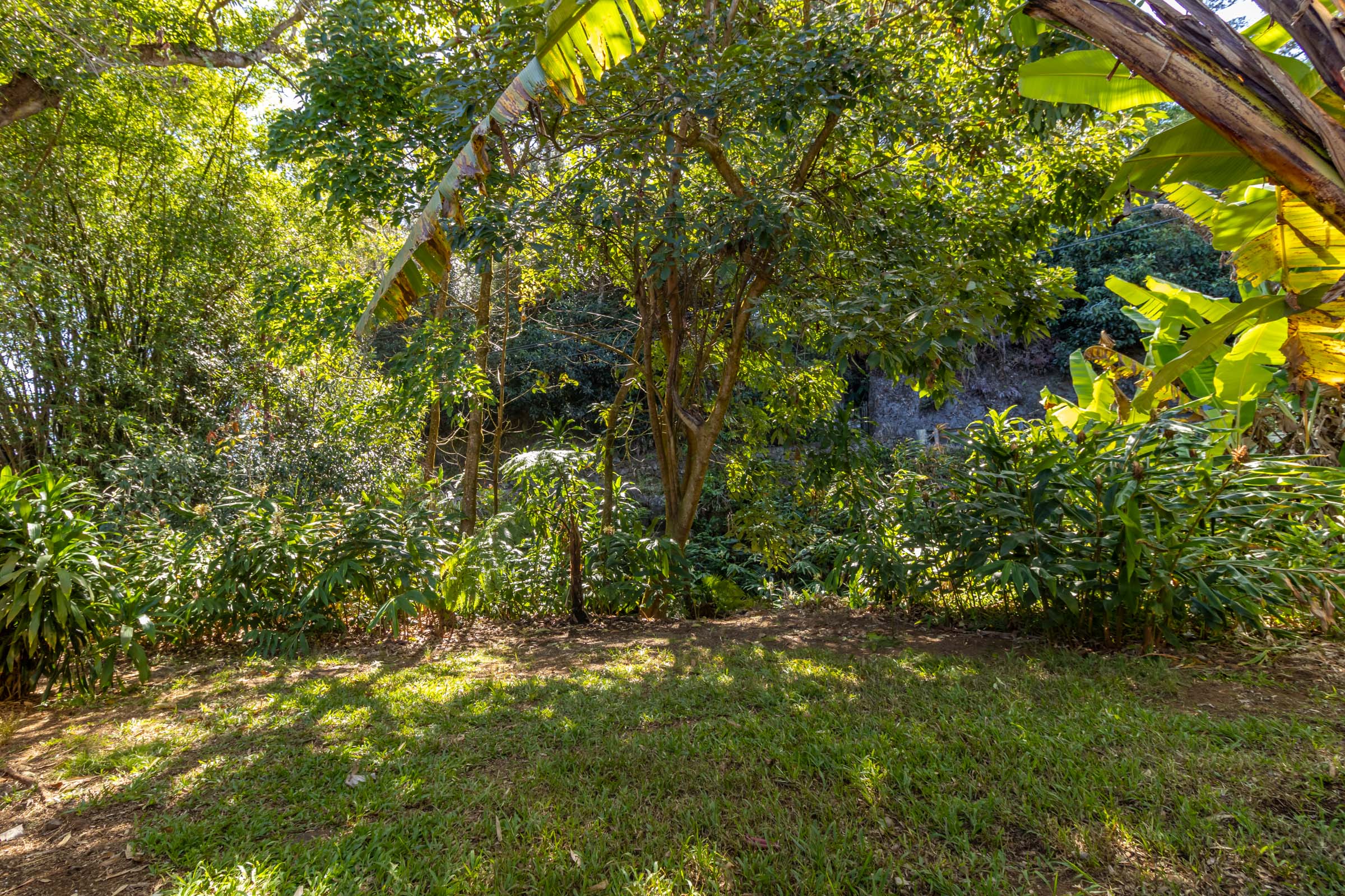 46-3741 KAPUNA RD - Photo 2