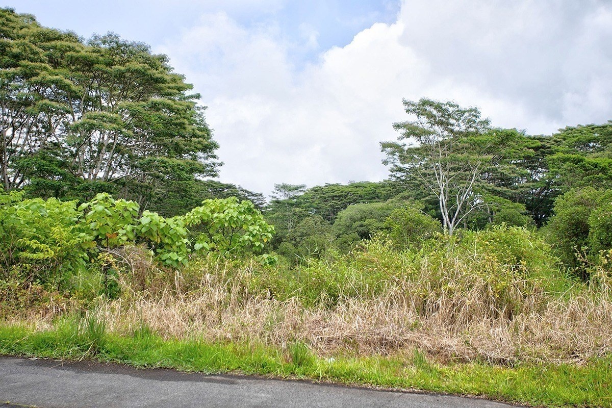 KUKUI CAMP RD - Photo 5